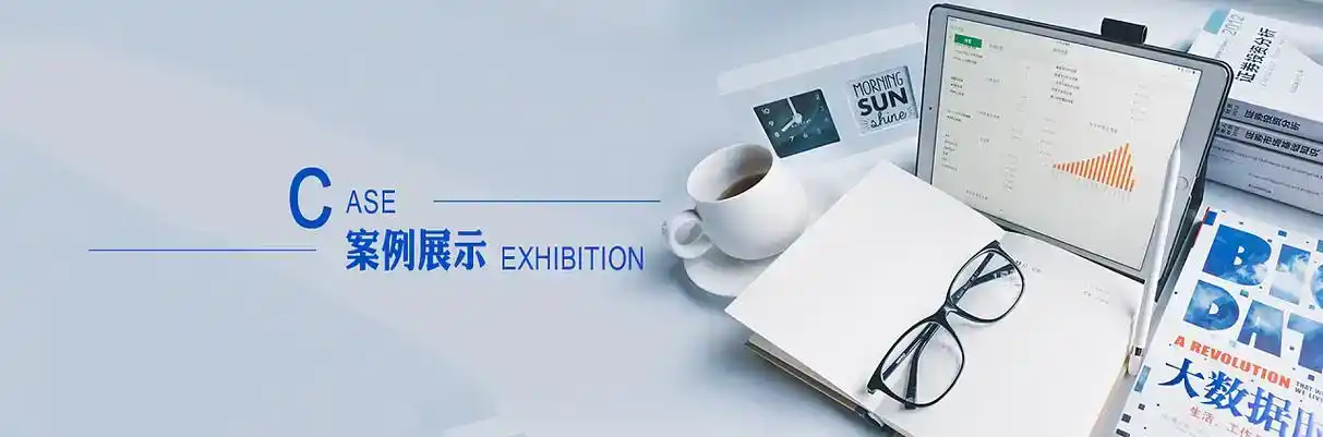 新干县软件开发